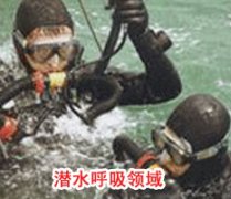 成功糖心视频下载安装